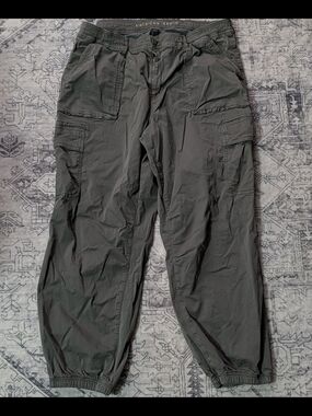 American Eagle Outfitters Olive Gray Cargo Pants